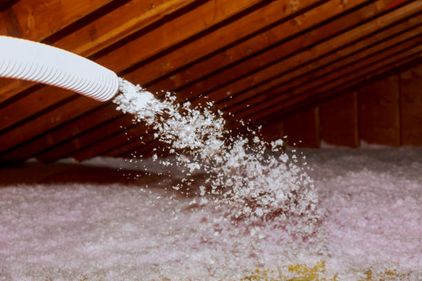 Best Insulation for New Construction  in Briggs, OK