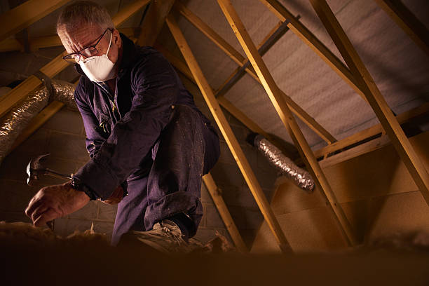 Best Local Insulation Services  in Briggs, OK
