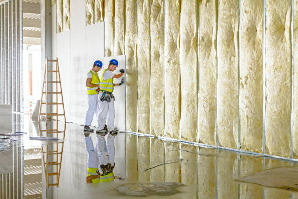 Best Insulation Contractor Near Me  in Briggs, OK